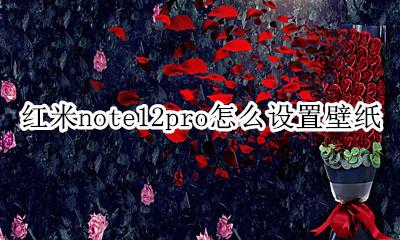 红米note12pro怎么设置壁纸 如何更换壁纸