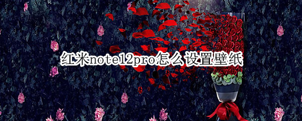 红米note12pro怎么设置壁纸