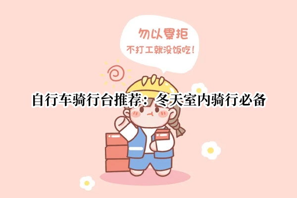 自行车骑行台推荐