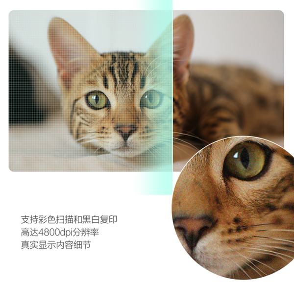 联想小新熊猫Panda黑白激光打印机评测