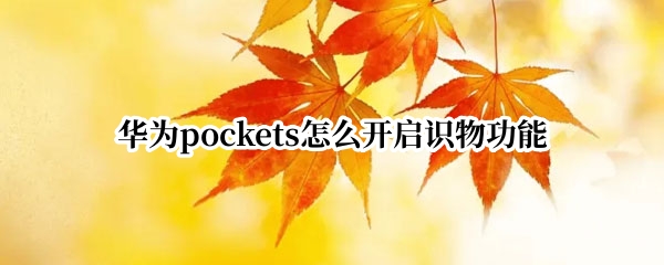 华为pockets怎么开启识物功能