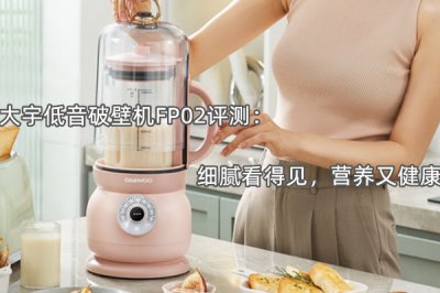 大宇低音破壁机FP02评测 怎么样