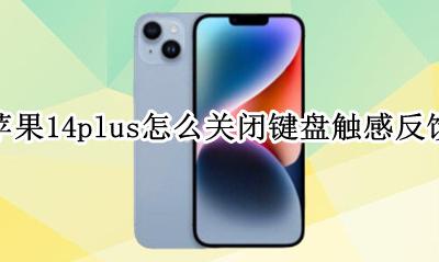 苹果键盘触控反馈 苹果14plus怎么关闭键盘触感反馈
