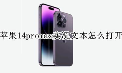 苹果14promax实况文本怎么打开 苹果14promax如何打开实况文本