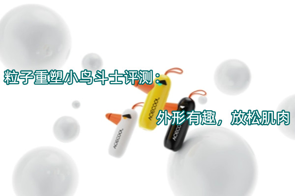 粒子重塑小鸟斗士评测