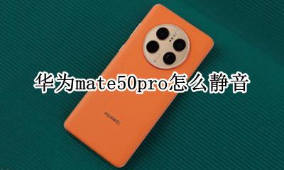 华为mate50pro怎么静音 华为手机mate50pro怎么静音