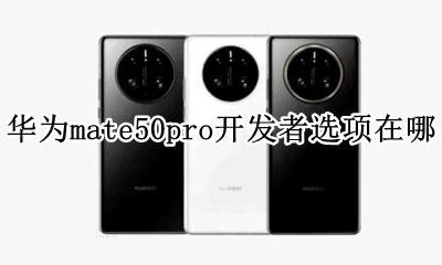 华为p50开发者选项在哪里 华为mate50pro开发者选项在哪