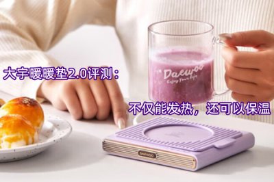 大宇暖暖垫2.0评测 怎么样