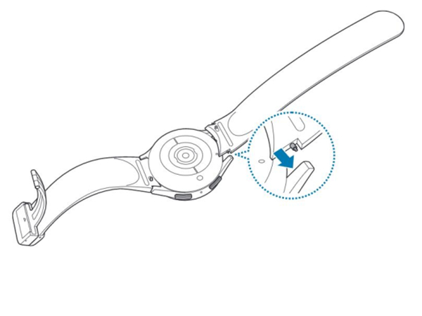 三星watch5pro表带怎么装