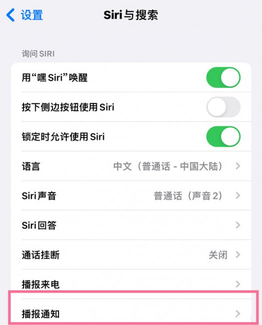 ios播报短信怎么关