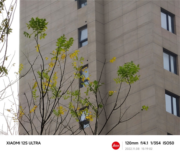 小米12S Ultra和小米11 Ultra拍照对比