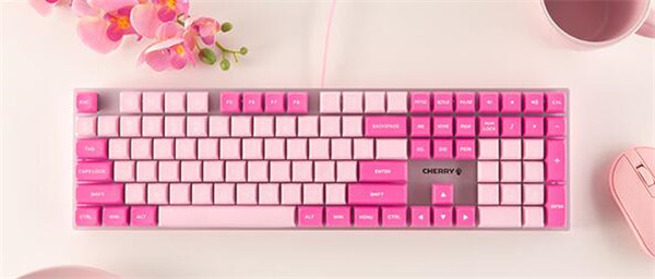 Cherry KC200 MX茶轴评测