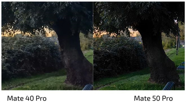 华为Mate50 Pro和荣耀Magic4 至臻版拍照对比