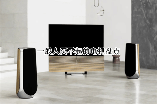 一般人买不起的电视盘点