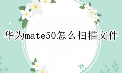 华为怎么弄扫描文件 华为mate50怎么扫描文件
