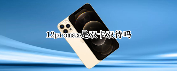 12promax是双卡双待吗