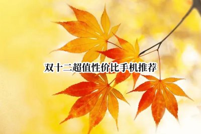 双十二超值性价比手机推荐 双十二最值得入手的手机