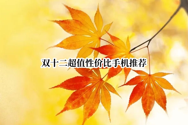 双十二超值性价比手机推荐