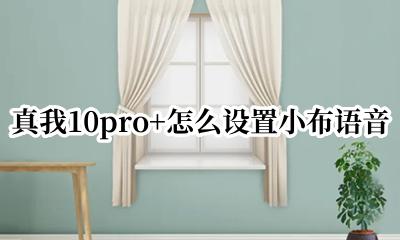 真我10pro+怎么设置小布语音 真我10pro+怎么开启语音助手