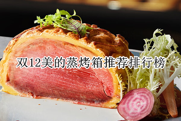 双12美的蒸烤箱推荐排行榜