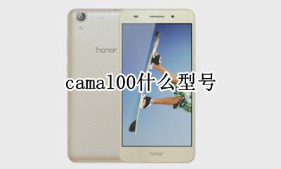camal00什么型号 camal00是什么型号