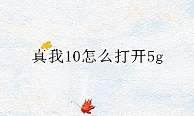 真我10怎么打开5g 怎么设置5g