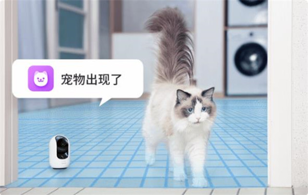 360云台摄像机 8Max评测