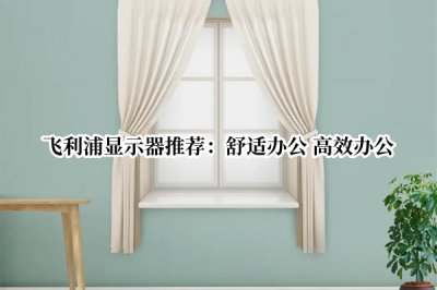 飞利浦显示器推荐 飞利浦显示器推荐哪一款