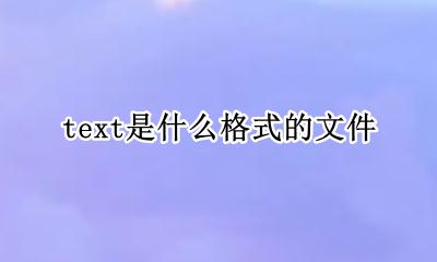 text是什么格式的文件 text文件是什么类型
