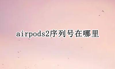 airpods2序列号在哪里 airpods2代的序列号在哪里