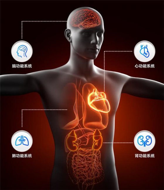 dido Y16S健康手表评测