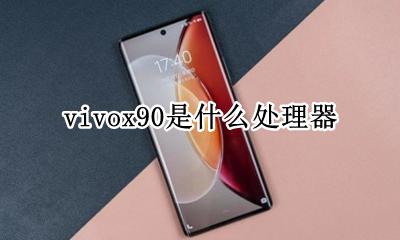 vivox90参数配置 vivox90是什么处理器