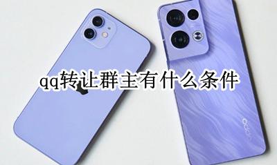 QQ群转让群主的条件 qq转让群主有什么条件