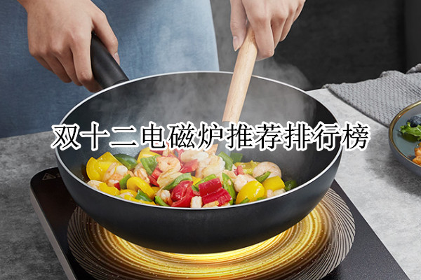 双十二电磁炉推荐排行榜