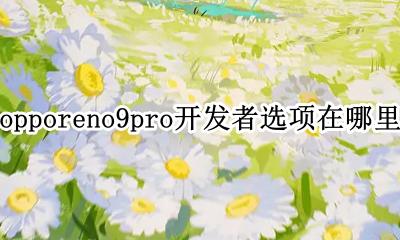 opporeno9开发者选项在哪 opporeno9pro开发者选项在哪里
