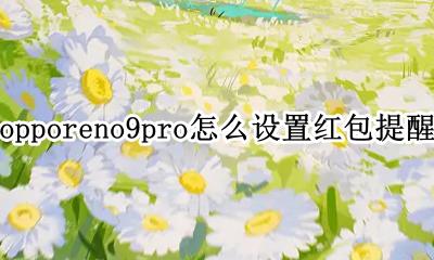 opporeno9pro红包提醒功能 opporeno9pro怎么设置红包提醒