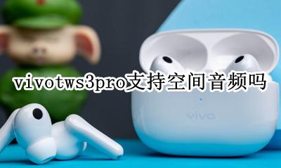 vivotws3pro支持空间音频吗 有空间音频吗