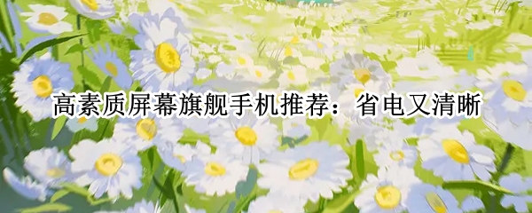 高素质屏幕旗舰手机推荐