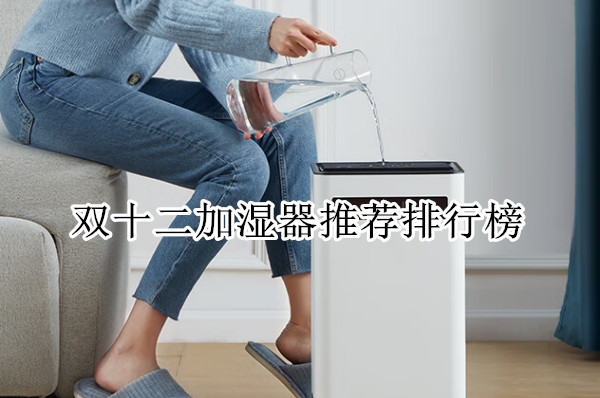 双十二加湿器推荐排行榜