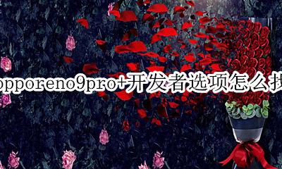 opporeno9开发者选项在哪 opporeno9pro+开发者选项怎么找