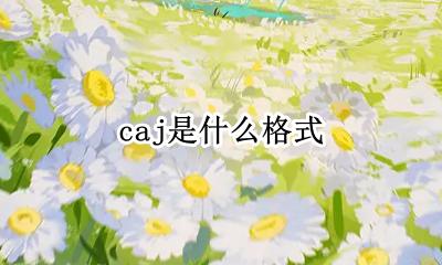 caj是什么格式 caj格式怎么看