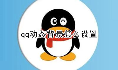 qq动态背景怎么设置 qq动态的背景图怎么设置