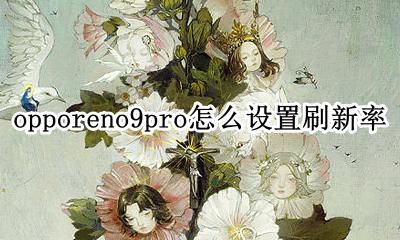 oppor9屏幕刷新率怎么调 opporeno9pro怎么设置刷新率
