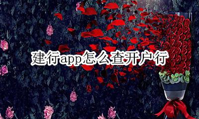 建行app怎么查开户行 建行app的开户行怎么查