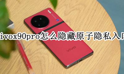 vivox90pro怎么隐藏原子隐私入口 怎么关闭原子隐私入口