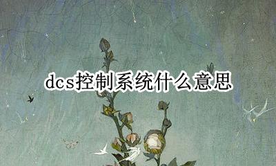 dcs控制系统什么意思 dcs控制系统意思是什么