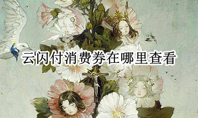 云闪付消费券在哪里查看 云闪付领的消费券在哪里看