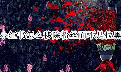 小红书拉黑粉丝后解除拉黑 小红书怎么移除粉丝而不是拉黑