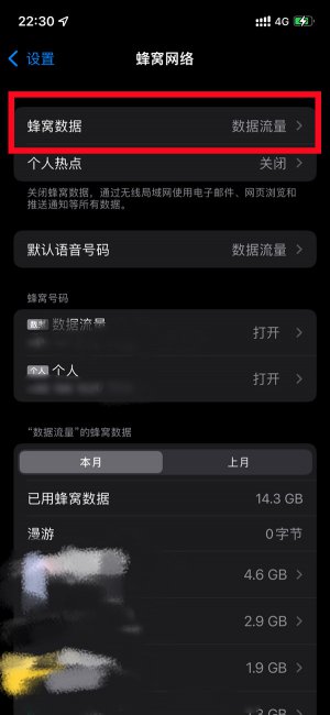 iphone数据漫游是什么意思啊