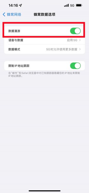 iphone数据漫游是什么意思啊
